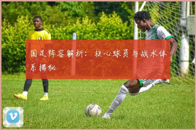 国足阵容解析:核心球员与战术体系揭秘